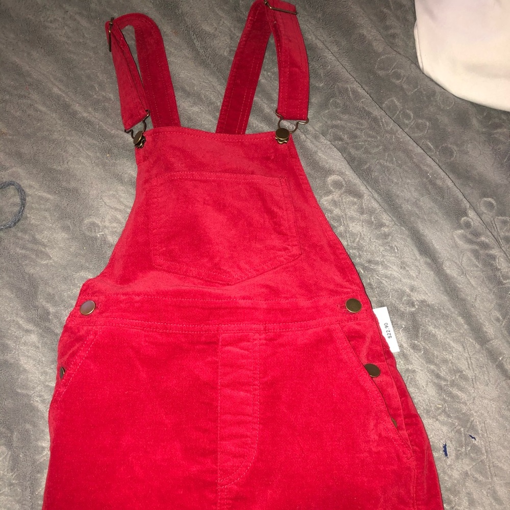 Skirt overalls